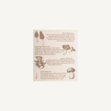 Load image into Gallery viewer, Swedish Dishcloths