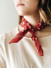 Load image into Gallery viewer, Bandanas