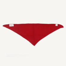 Load image into Gallery viewer, CA Cashmere Scarves