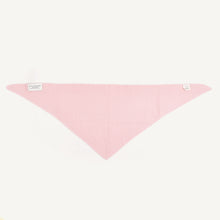 Load image into Gallery viewer, CA Cashmere Scarves
