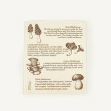 Load image into Gallery viewer, Educational Swedish dishcloth about different types of mushrooms with illustrations and text on a beige background