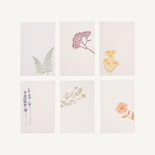Load image into Gallery viewer, Medical Herb Cards Collection