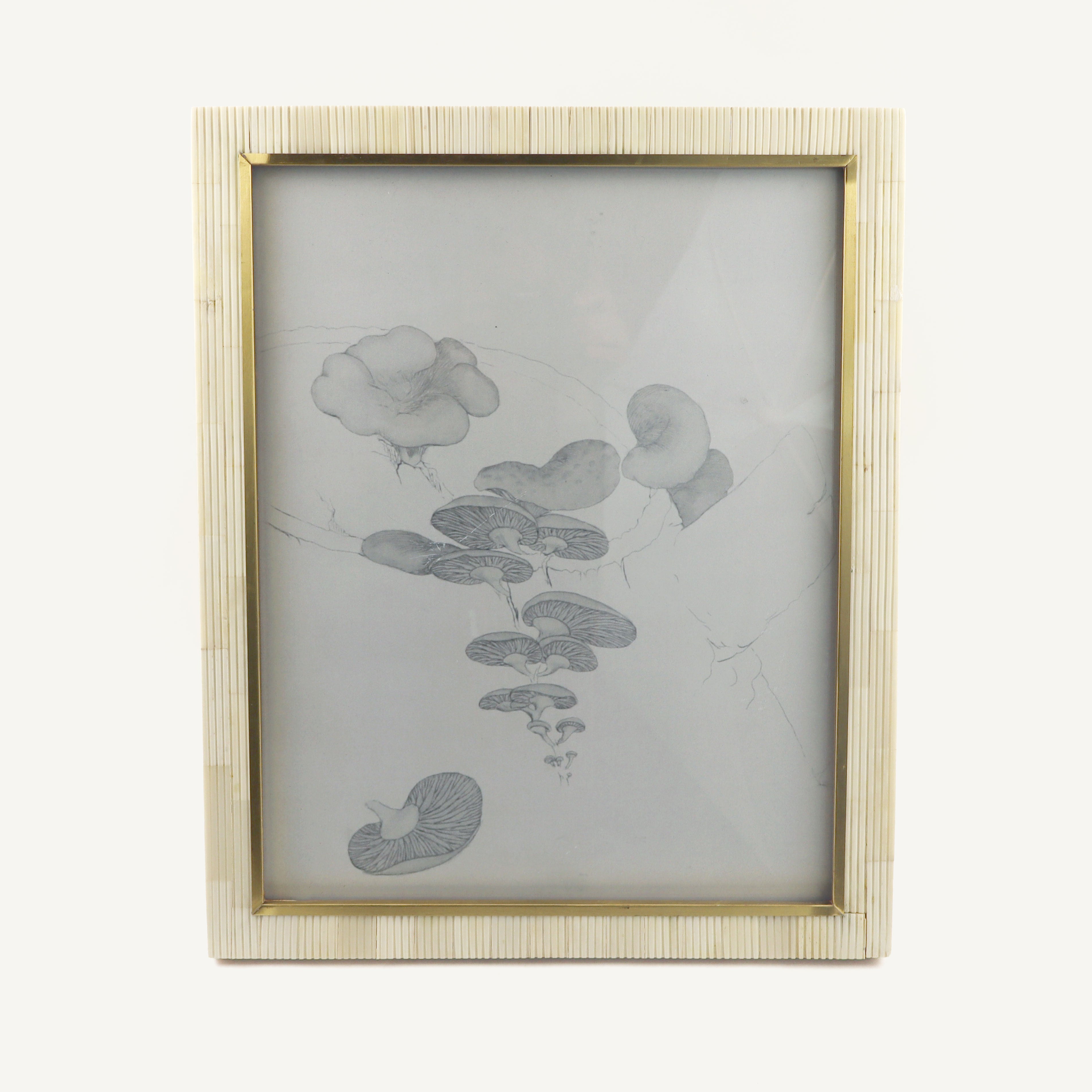 Bone and Gold Frame - Large Sizes