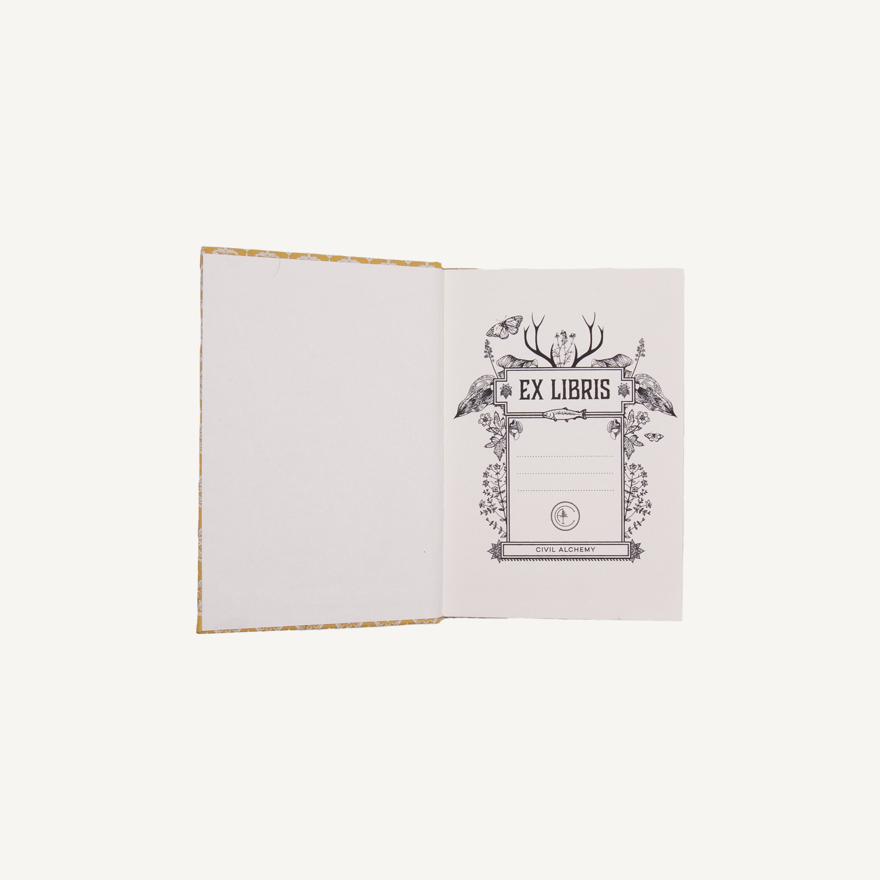 Large Journal