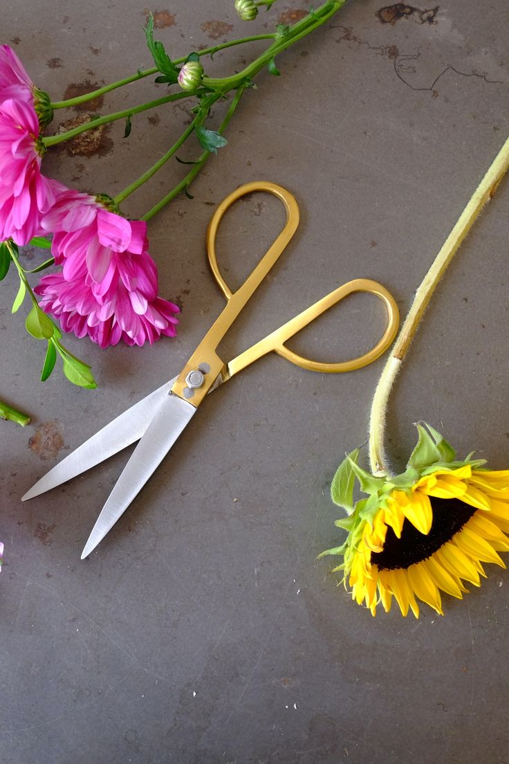 7.5" Brass Scissor