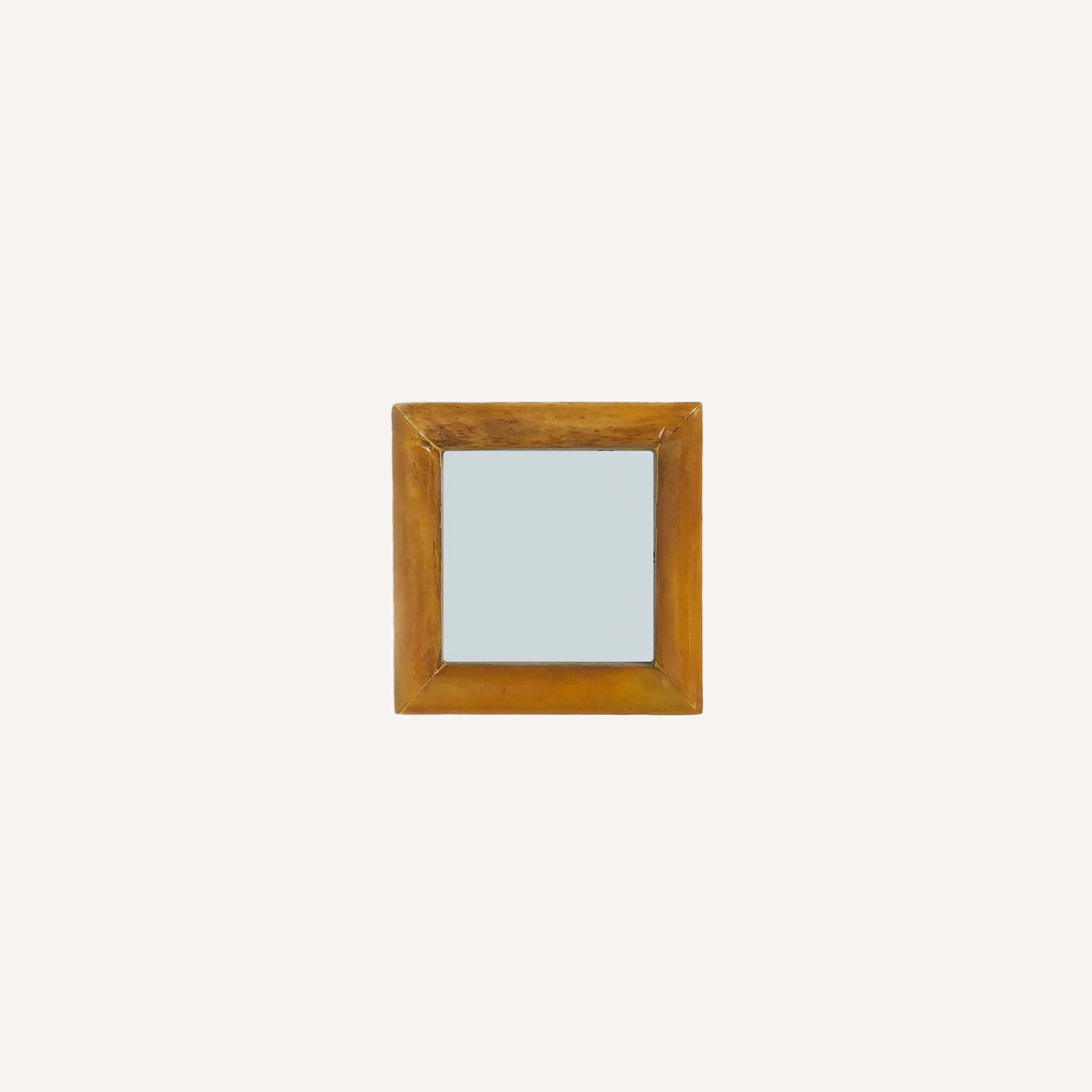 Amber Bone Frames
