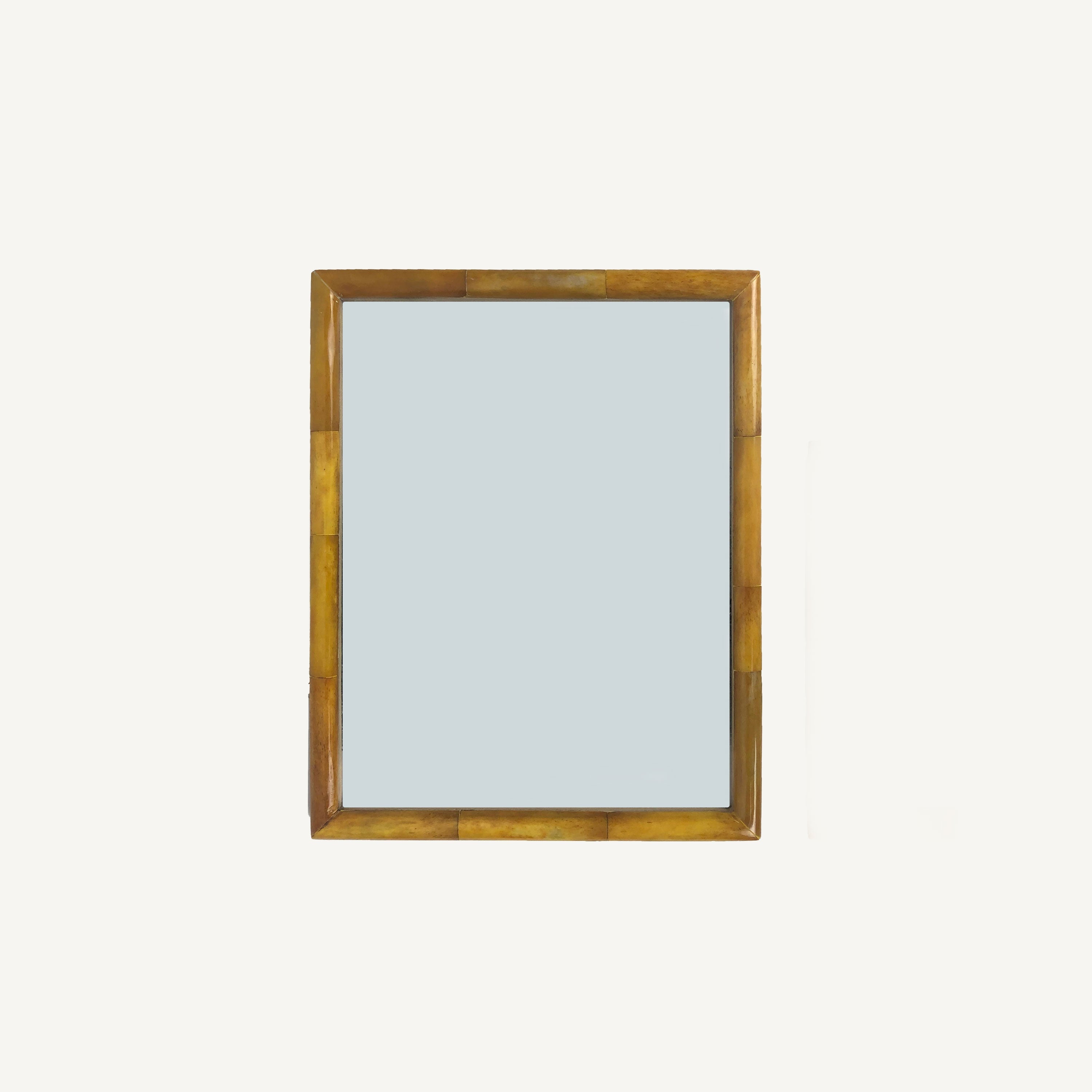 Amber Bone Frames