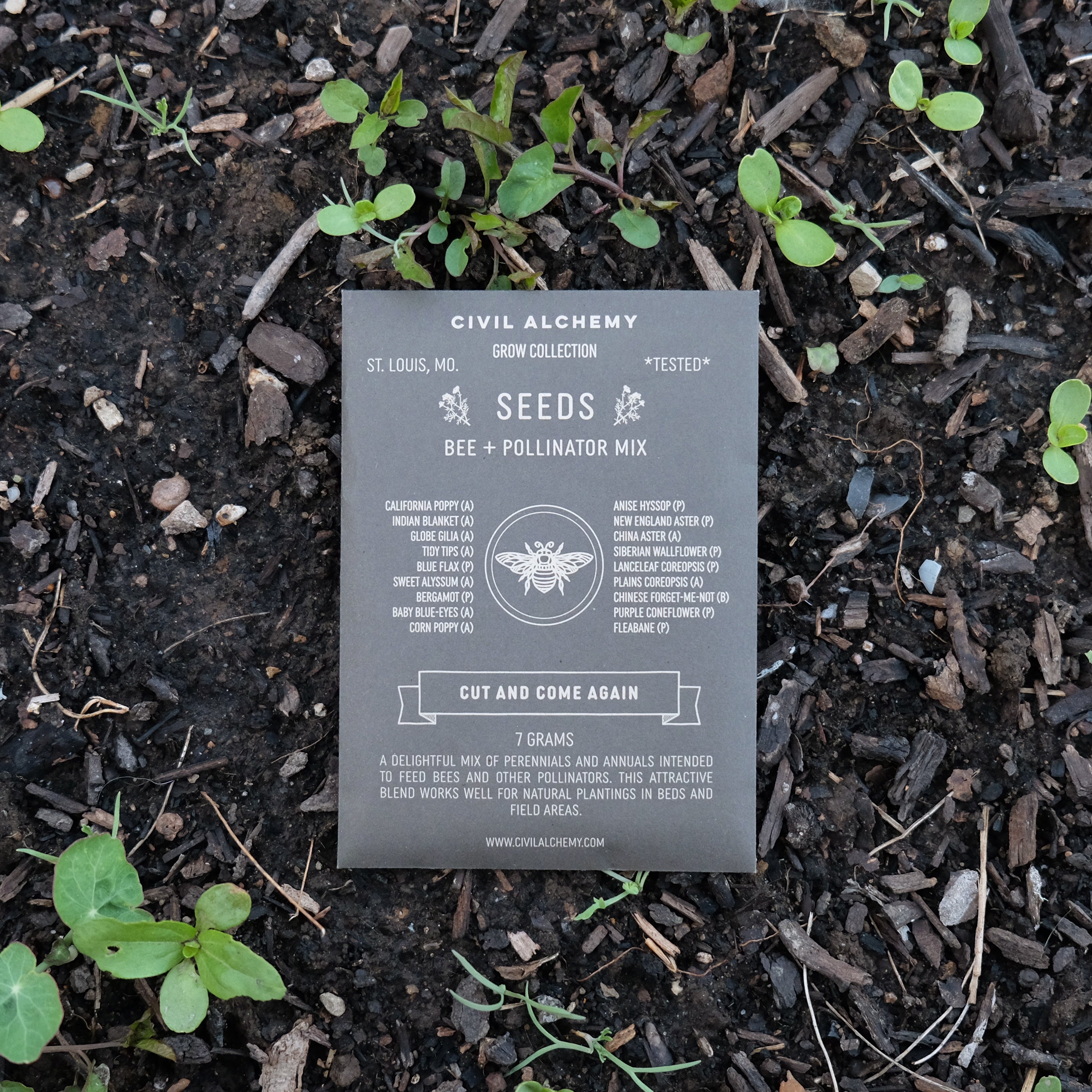 Bee & Pollinator Seed Mix