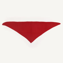 Load image into Gallery viewer, CA Cashmere Scarves
