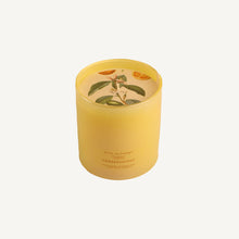 Load image into Gallery viewer, Conservatory Candle
