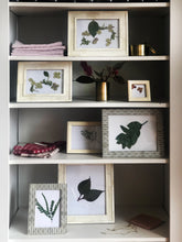 Load image into Gallery viewer, Bone Beadboard Picture Frames
