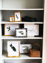 Load image into Gallery viewer, Amber Bone Frames
