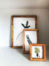 Load image into Gallery viewer, Amber Bone Frames
