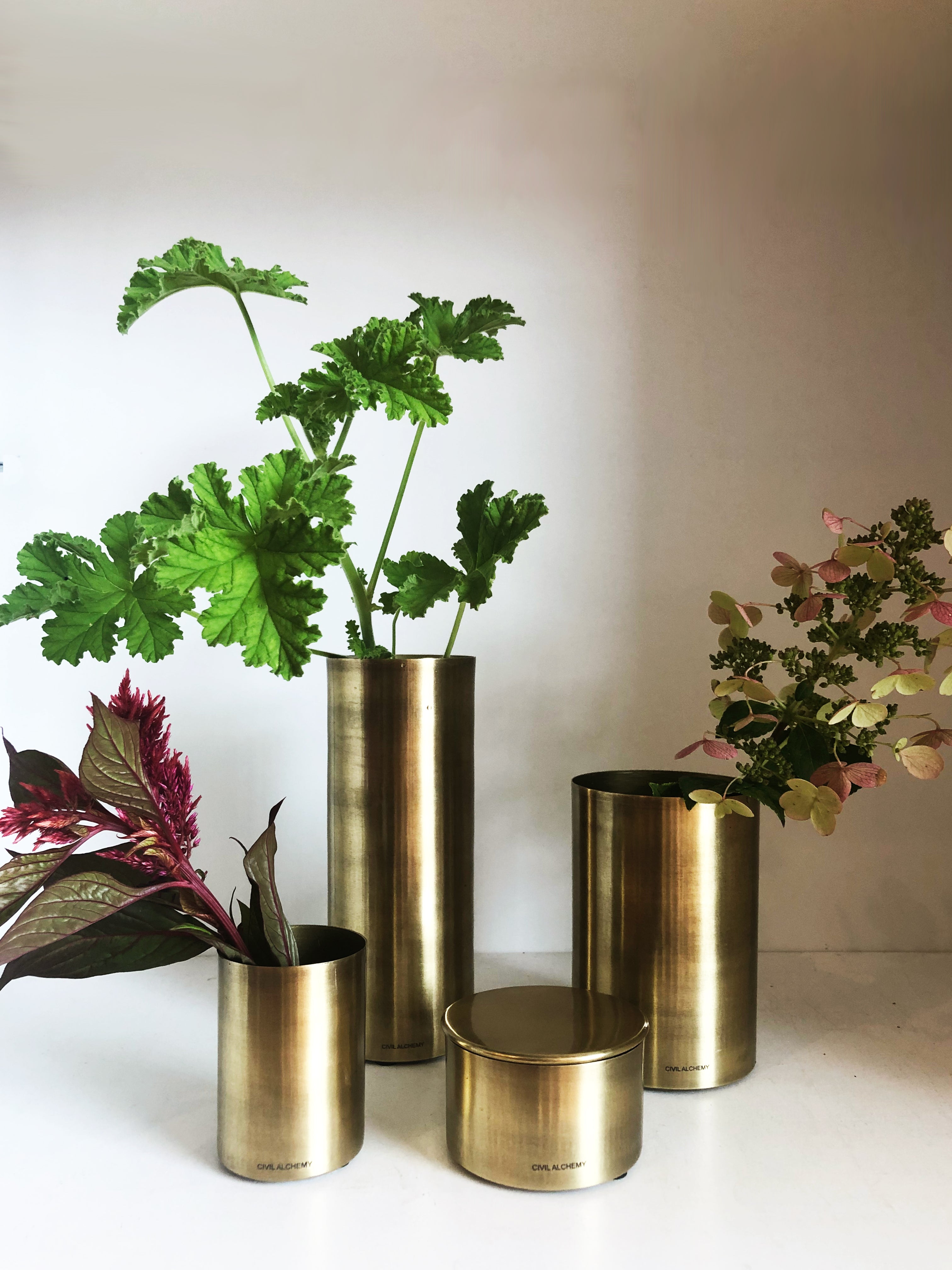 Cylinder Vases