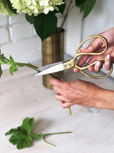 Load image into Gallery viewer, Utility Scissors Brass and Stainless Steel
