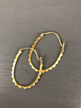 Load image into Gallery viewer, Darla Hoop Earrings (More Colors)
