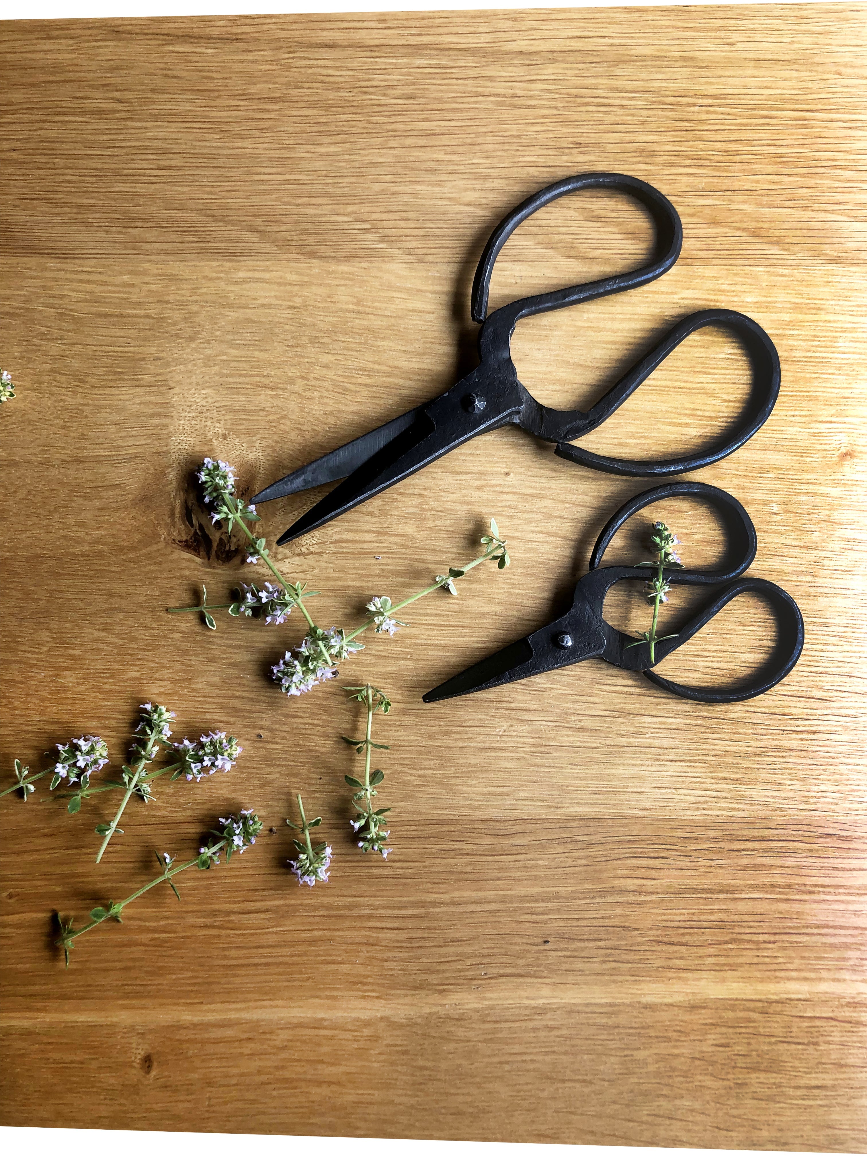 Household Scissor Iron 6.25"