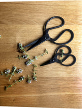 Load image into Gallery viewer, Household Scissor Iron 6.25&quot;
