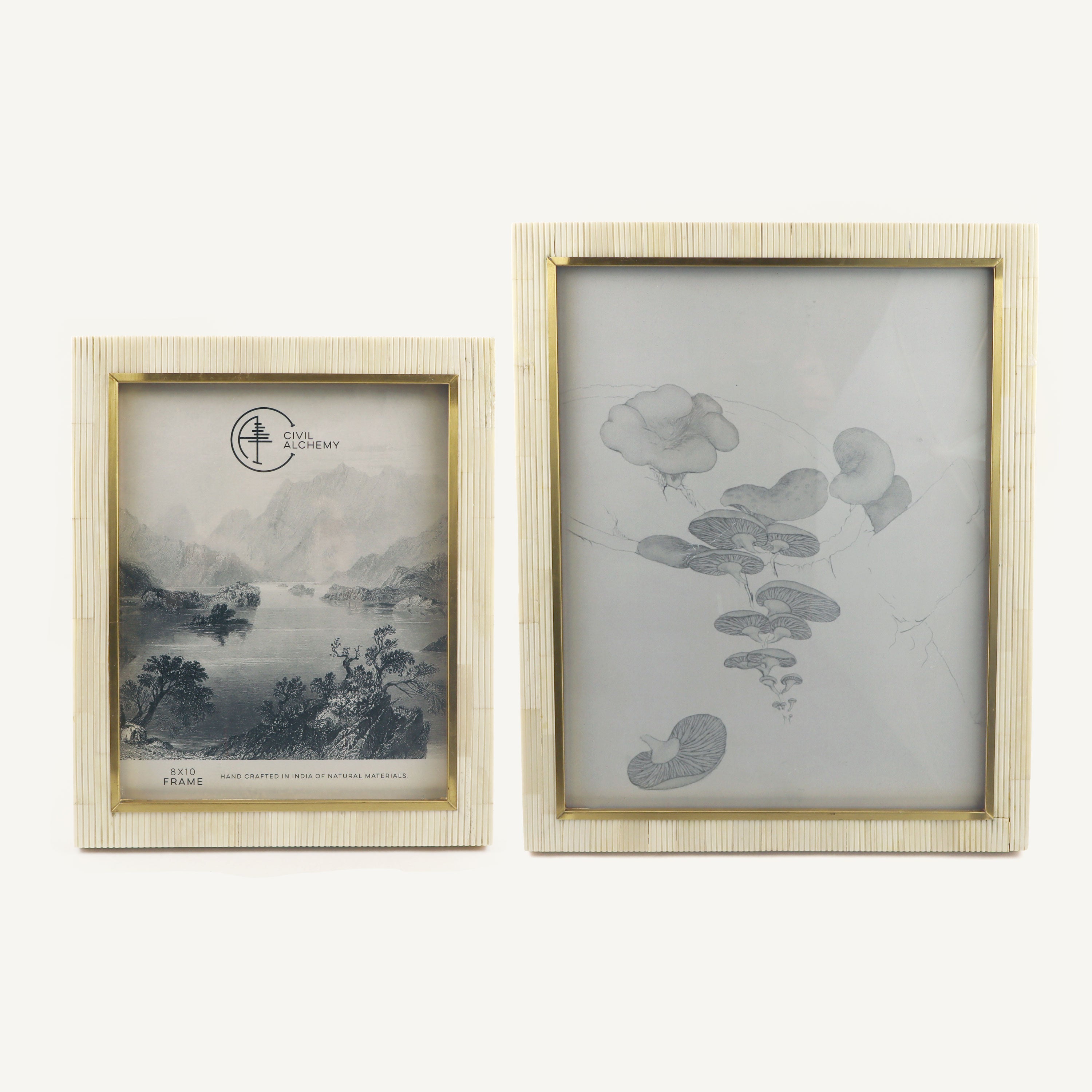 Bone and Gold Frame - Large Sizes