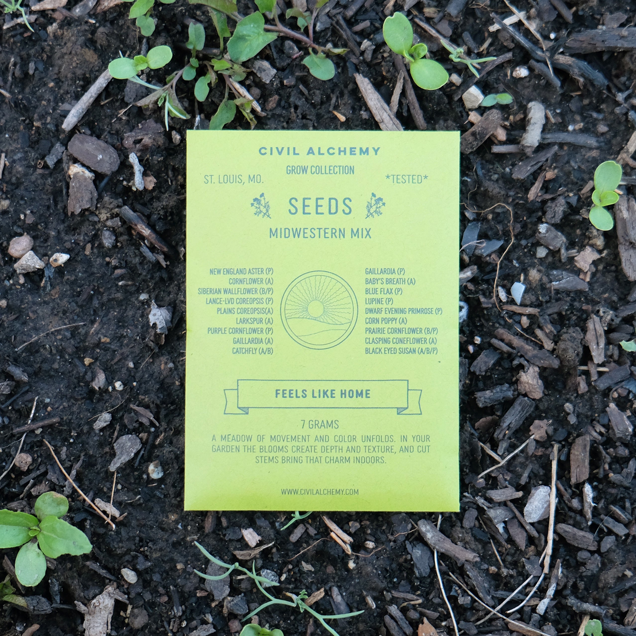 Midwestern Seed Mix