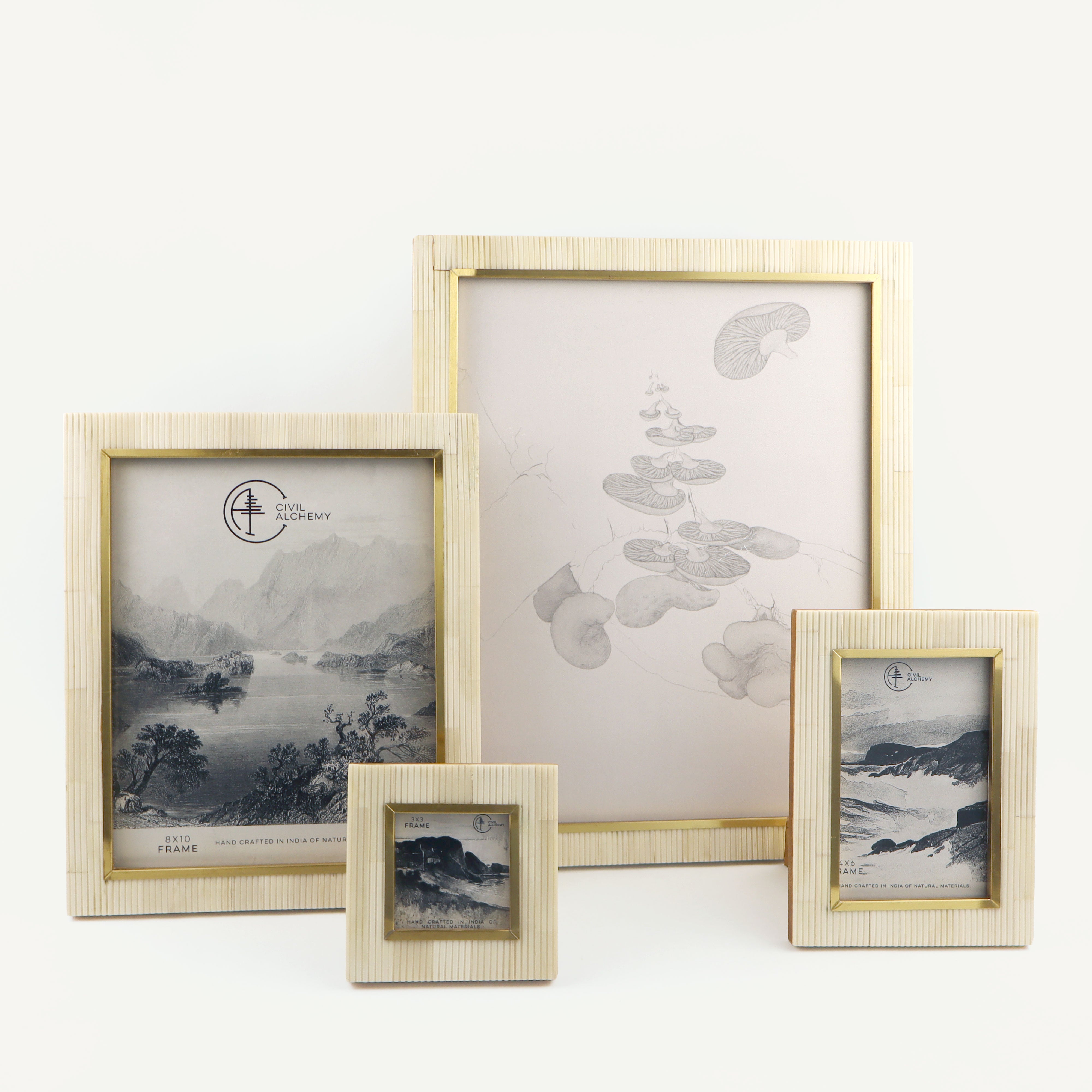 Bone and Gold Frame - Large Sizes