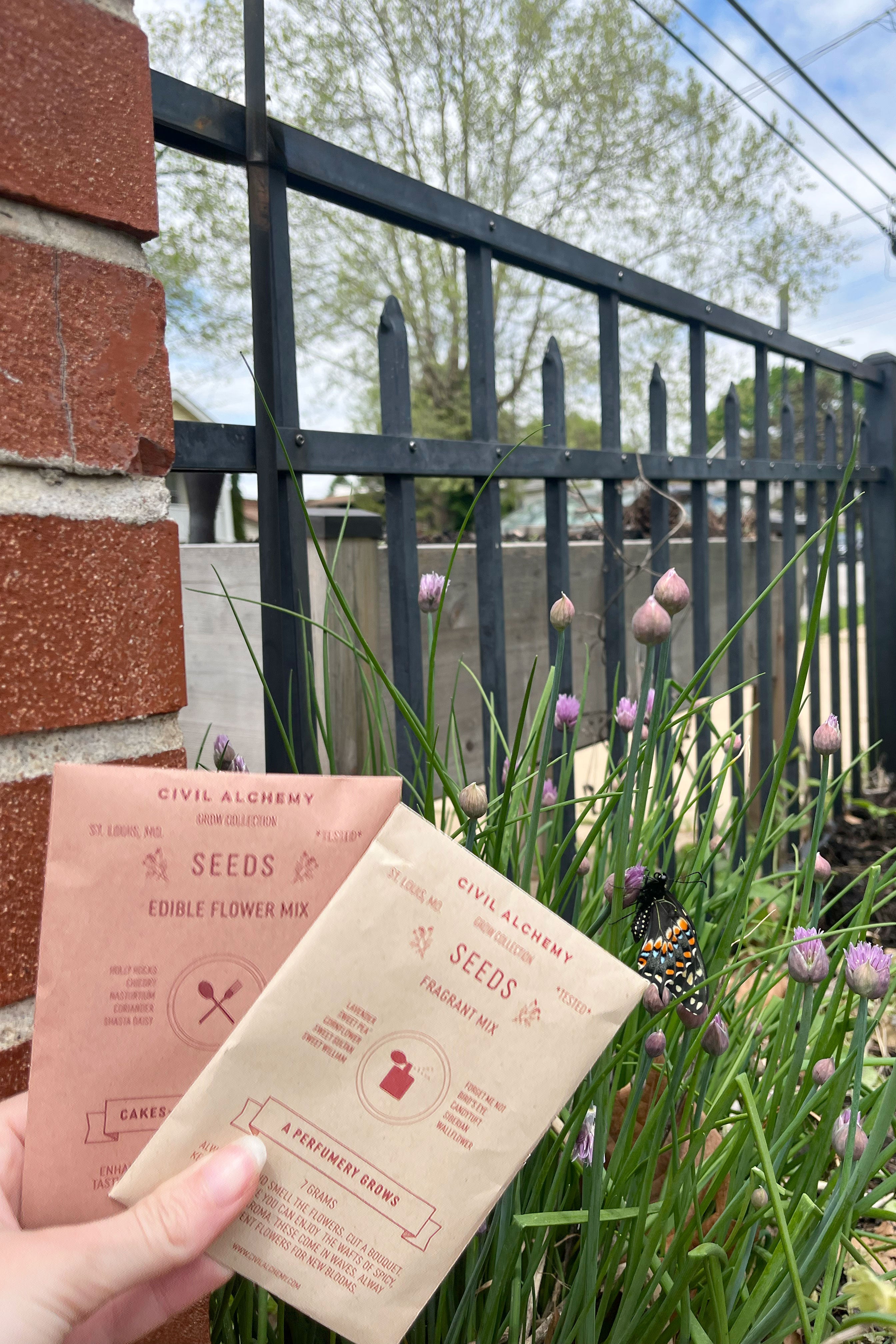 Edible Flower Seed Mix