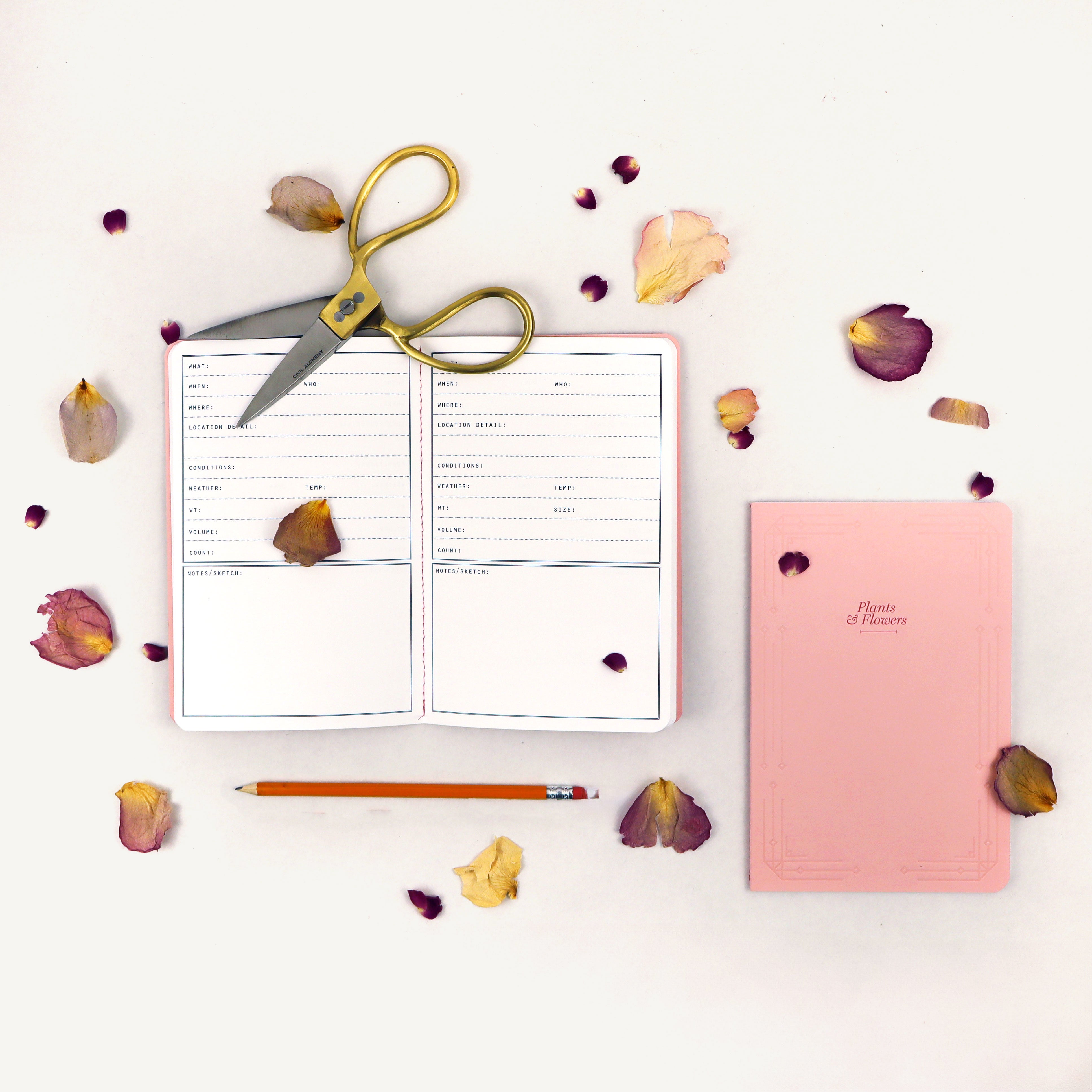 Plants and Flowers - Activity Journal